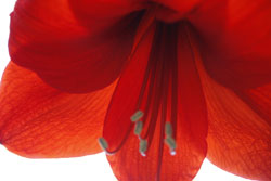 Marilyn London Ewing